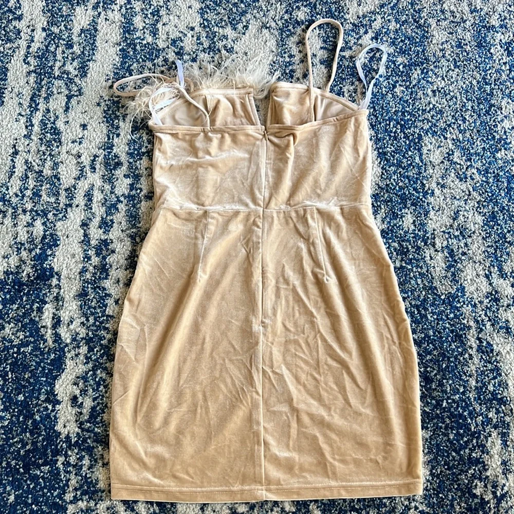 superdown Erika Feather Trim Mini Dress in Champagne M - Picture 7 of 9